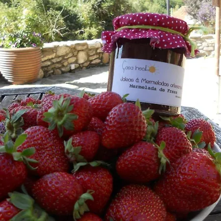 Casa Insol Landhuis *