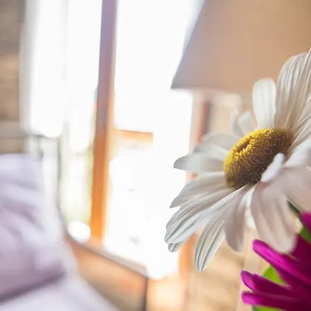 乡村民宿 Casa Insol Denuy