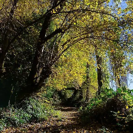 Casa Insol 乡村民宿 Denuy