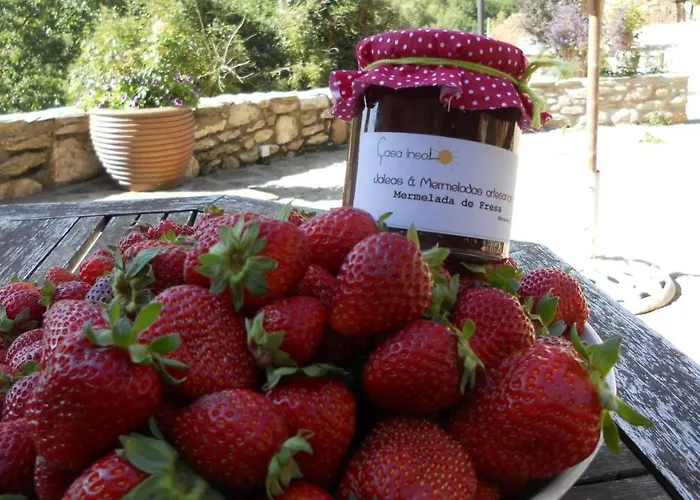 Casa Insol Lantställe *