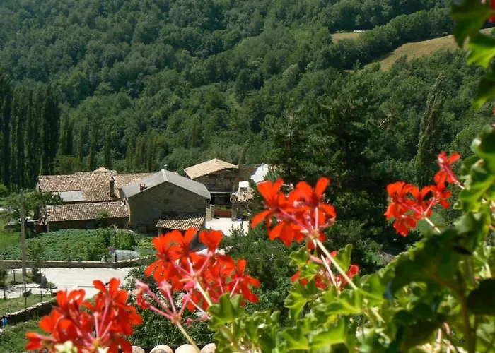 Lantställe Casa Insol *