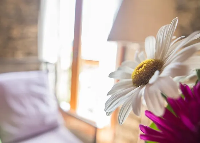 Lantställe Casa Insol Denuy