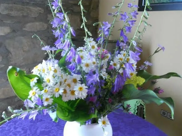 Casa Insol Lantställe